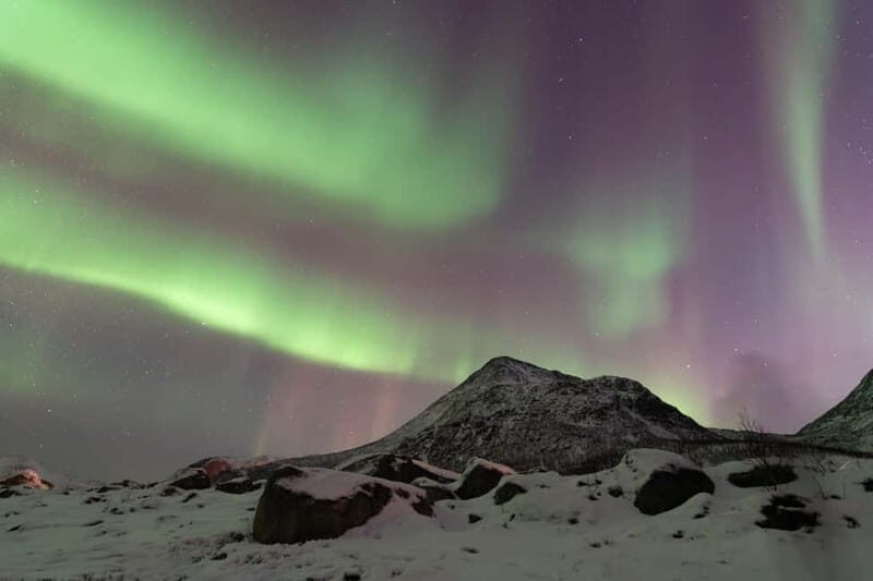 Tromsø: Aurora Quest Luxury Car Experience 7-Hour Tour - Vehicle and Comfort