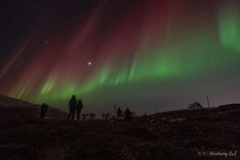 Tromsø: Express Aurora Hunt - The Experience of the Guides