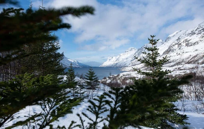 Tromsø: Express Fjord Road Trip - Who Will Love This Tour?