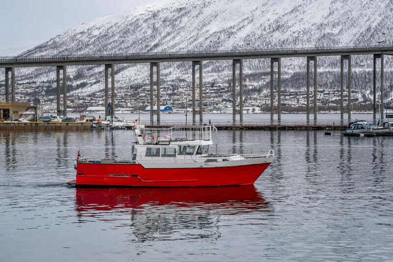 Tromsø: Fishing Sea Safari - Practical Tips for Travelers