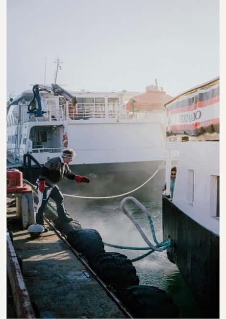 Tromsø: Fjord Cruise Around The Islands & Archipelago - The Scenic Journey Begins