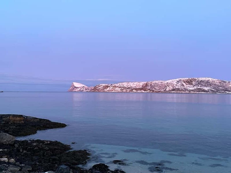 Tromsø: Fjords, Mountains and City Highlights Day Tour - What Travelers Are Saying