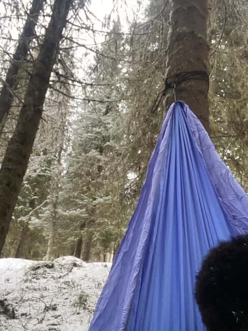 Tromsø: Forest escape adventure - Practical Details & Value