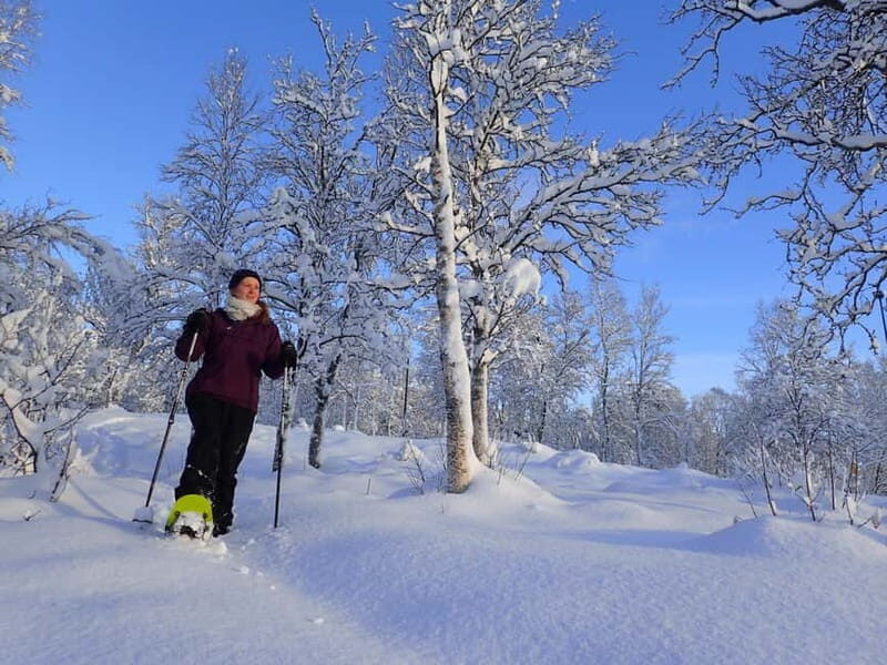Tromsø: Guided snowshoe trip with a campfire - Who Will Love This Tour?