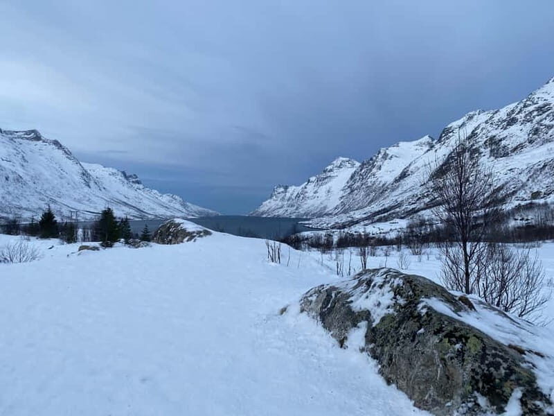 Tromsø Half-Day Tour: Fjords & Sommarøy Adventure - An In-Depth Look at the Tour Experience