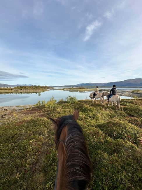 Tromsø: Horseback Riding Tour - Who Will Love This Tour?