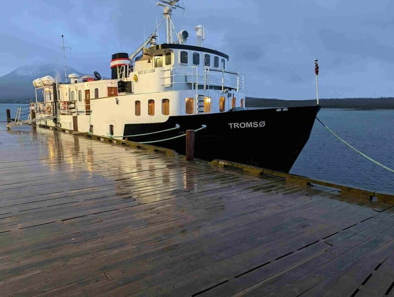 Tromsø: Incredible Cruise of The Outer Fjord - Value and Practicality