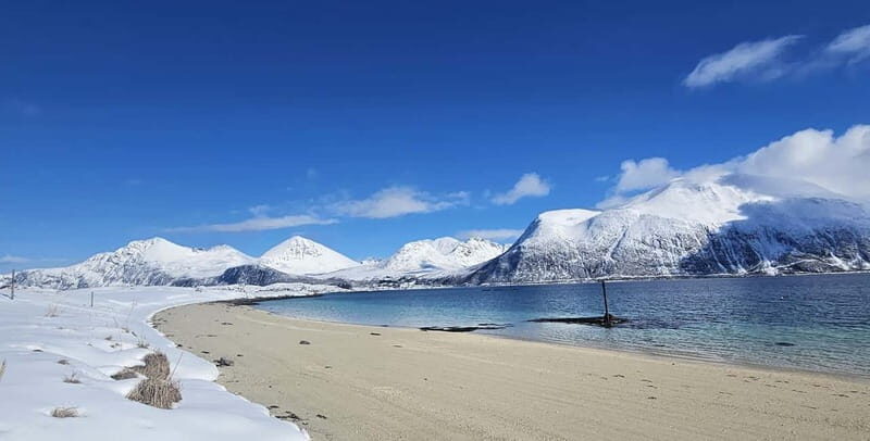 Tromsø: Kvaløya and Sommarøy Guided Tour with Lunch - Highlights and What You’ll Love