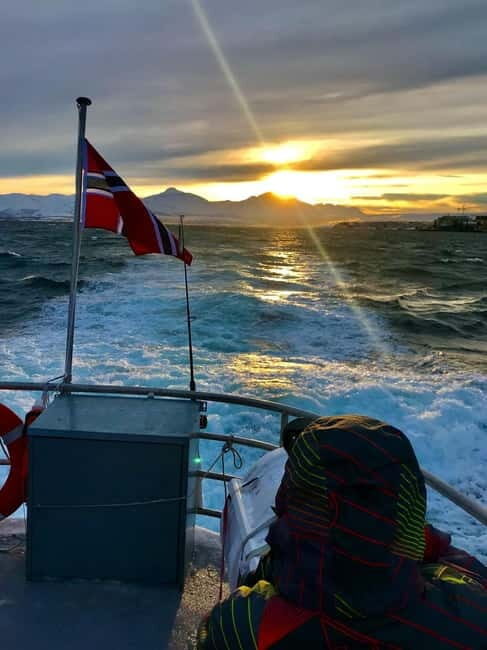 Tromsø: Midnight Sightseeing Cruise All-inclusive - Who Should Consider This Tour?
