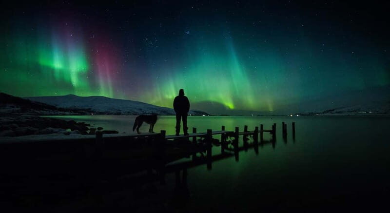 Tromsø: Northern Lights Chase + Free Professional Photos - What’s Included & What’s Not