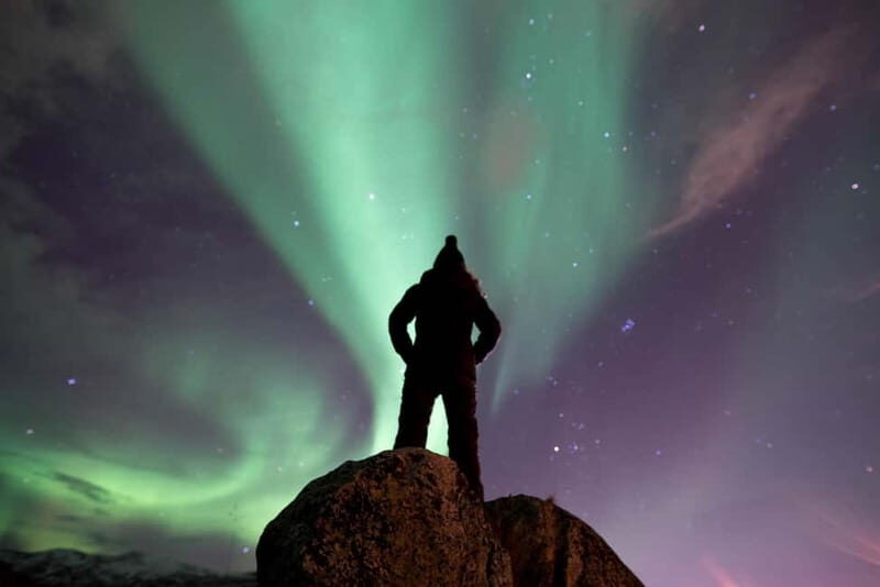 Tromsø: Northern Lights Hunt with Professional Photographer in Italian - The Sum Up