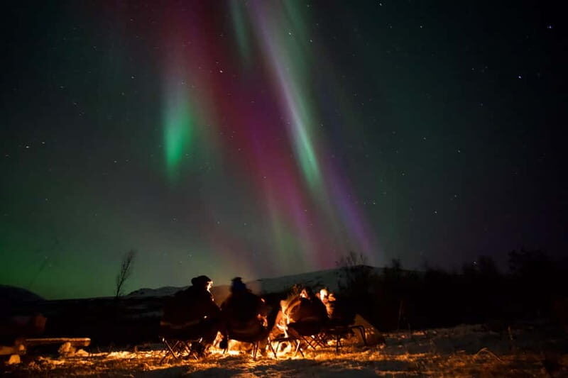 Tromsø: Northern Lights Tour with small group, minibus - The Experience in Detail: What Makes It Stand Out