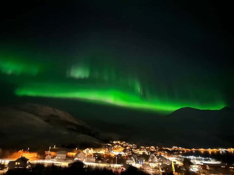 Tromsø: Northern Lights Tour - The Experience: What to Expect
