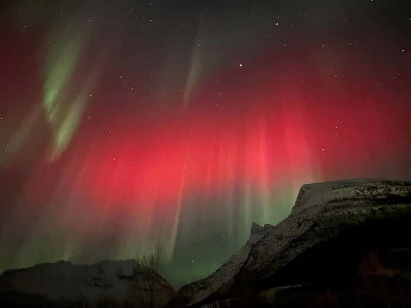 Tromsø: Sami Culture & Joik Experience with Lunch - The Practicalities: Timing, Cost, and Comfort