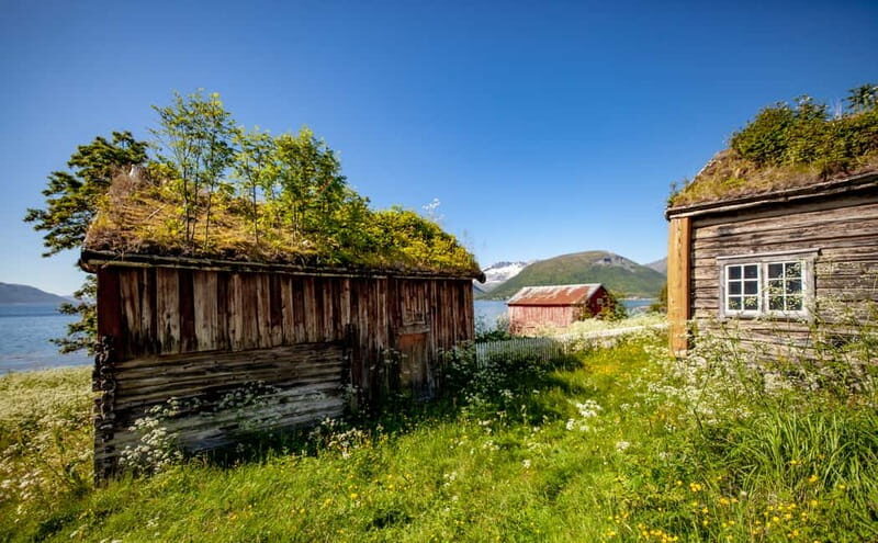 Tromsø: Summer Fjord Road Trip with Citizen Science - Who Would Love This Tour?