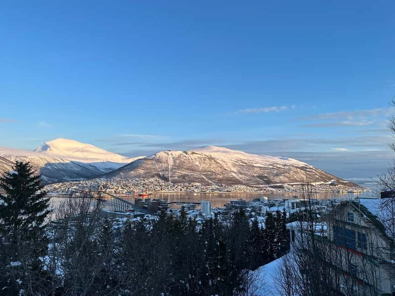 Tromsø: The View Panoramic Scenery and Local Delights - The Itinerary — A Closer Look