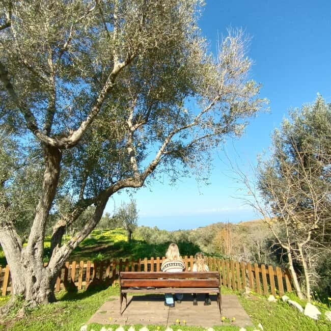 Tropea: Lemon Experience with Limoncello Making - Who Will Love This Tour?