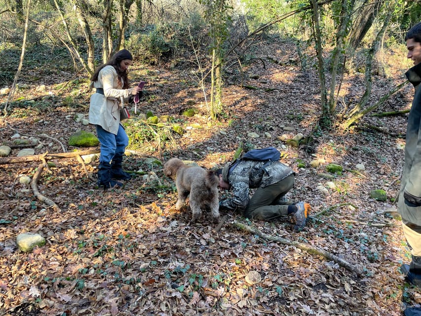 Truffle hunting in Chianti with pasta cooking class & lunch - What You Can Expect on This Tour
