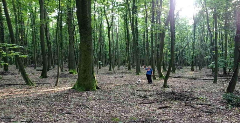 Truffle Hunting Tour, Serbia - Final Thoughts: Is It Worth It?