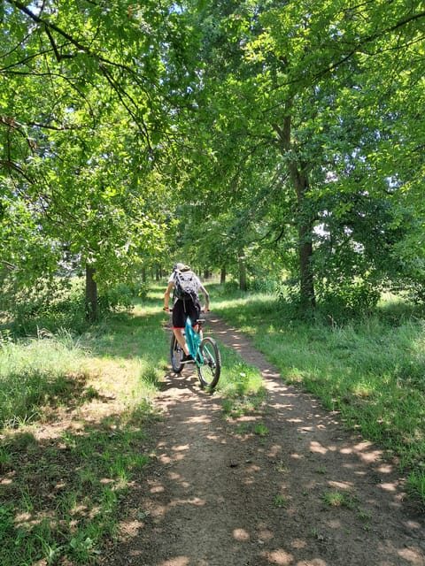Turin: e-bike tour, Reggia di Venaria, Royal Gardens, Castle - What the Experience Includes and What to Keep in Mind