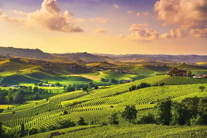 Turin: Langhe Wine Tour with Private Transfers and Lunch - Analyzing the Value and Experience  
