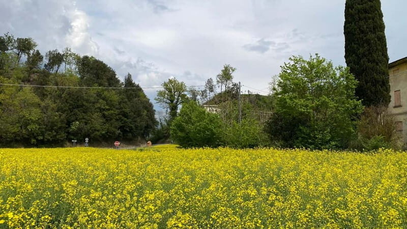 Tuscan Villages and Chianti Wine from Livorno - Starting Point and Transportation