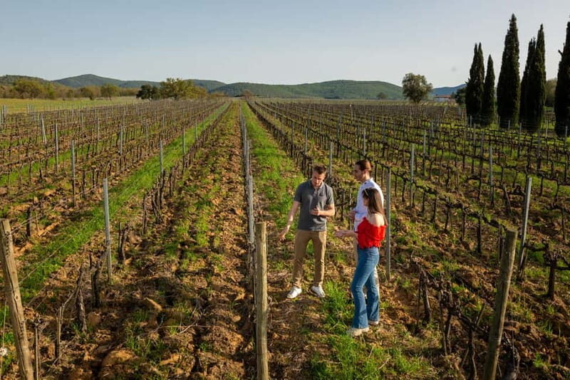 Tuscany: Wine Tasting Experience - Why This Tour Stands Out