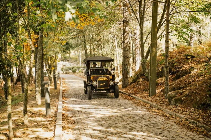 Two days to visit Fall Foliage in Douro Valley - Why This Tour Works for Travelers