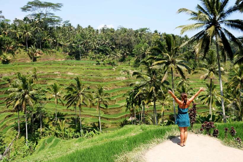 Ubud: Monkey Forest and Rice Terrace Private Tour - The Value of This Tour