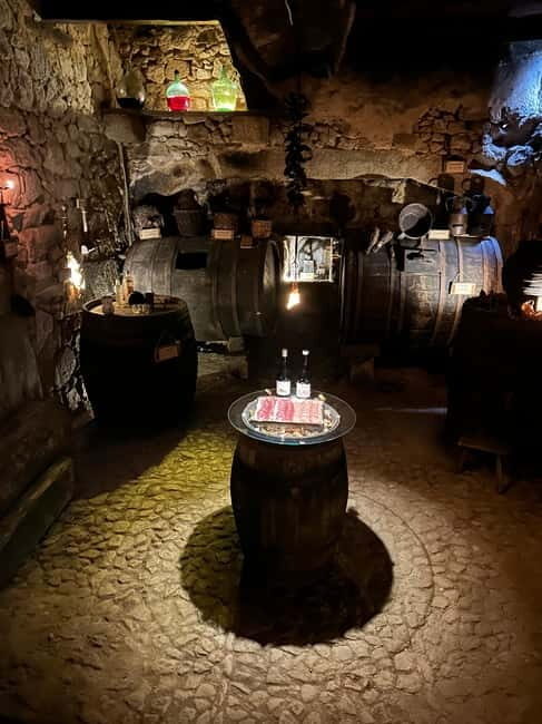 Unique experience in XVI winery with tasting near Salamanca - What to Expect and Practical Details