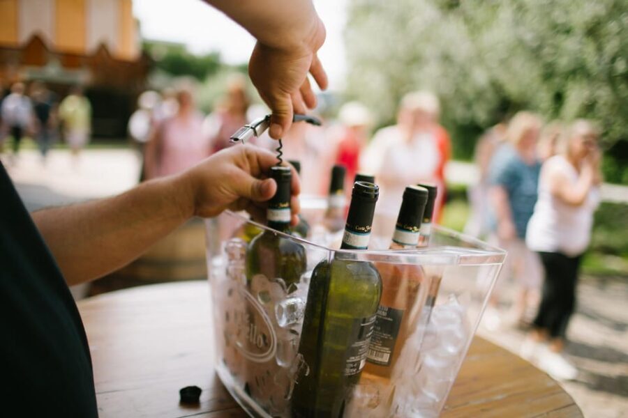 Valeggio: Summer Sips - 3 young wines with guided winery tour. - Why This Tour Offers Excellent Value  