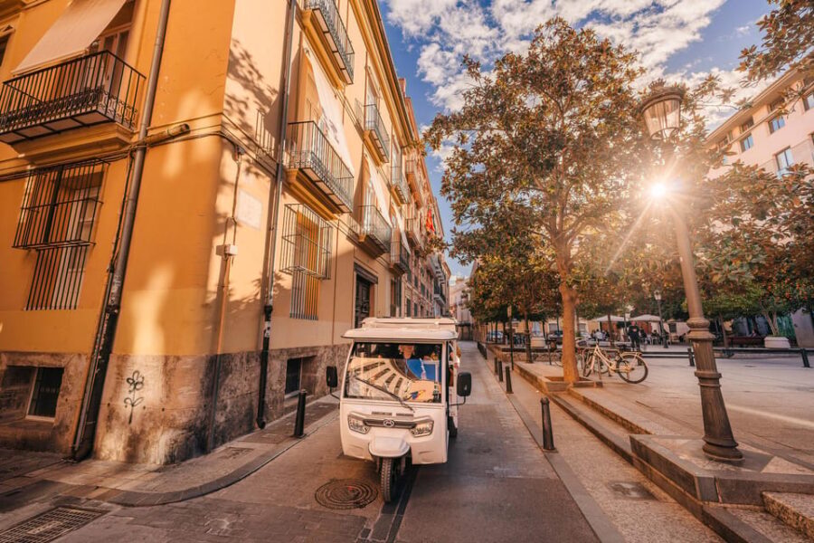 Valencia: 2-hour City Highlights Guided Tuk-Tuk Tour - The Itinerary: What You’ll See and Why It Matters
