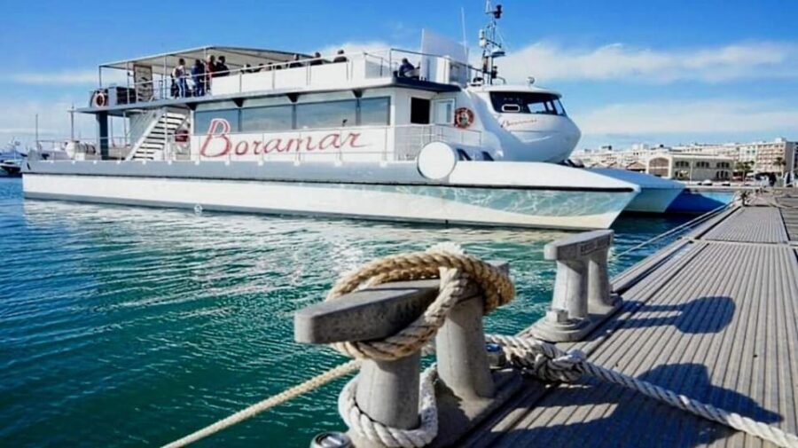 Valencia: Catamaran Cruise with Stop for Swimming - Authentic Experiences and Traveler Feedback