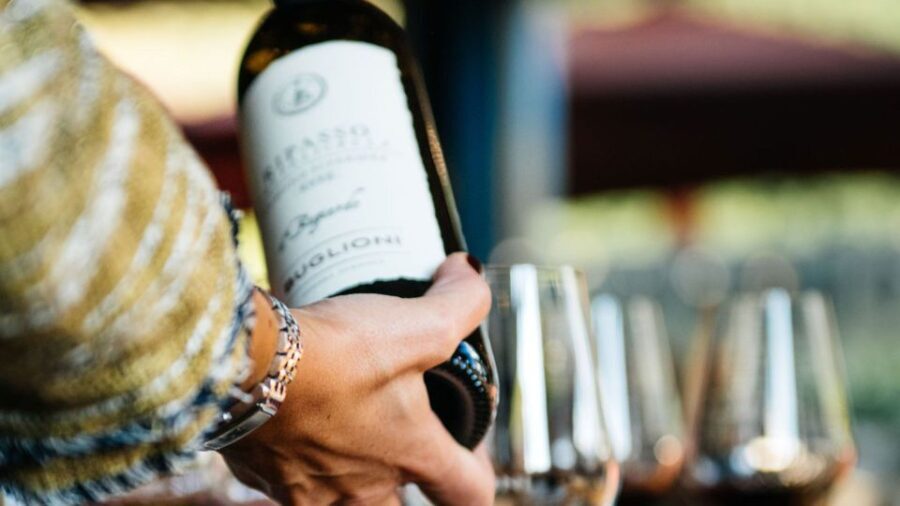 Valpolicella: Winery Tour with Red Wine&Cicchetti tasting - Price & Value Analysis