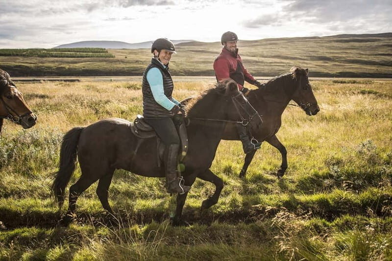 Varmahlid: 1-Hour Icelandic Horse Riding Tour - An In-Depth Look at the Icelandic Horse Riding Tour