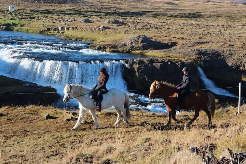Varmahlid: Viking Horse Riding Tour - A Detailed Look at the Viking Horse Riding Experience