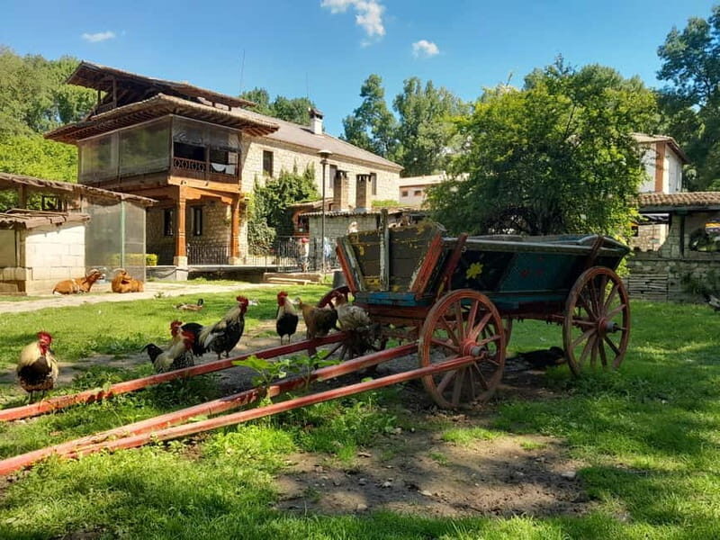 Varna: Guided VIP Tour - Exploring Bulgaria’s Ancient Heritage