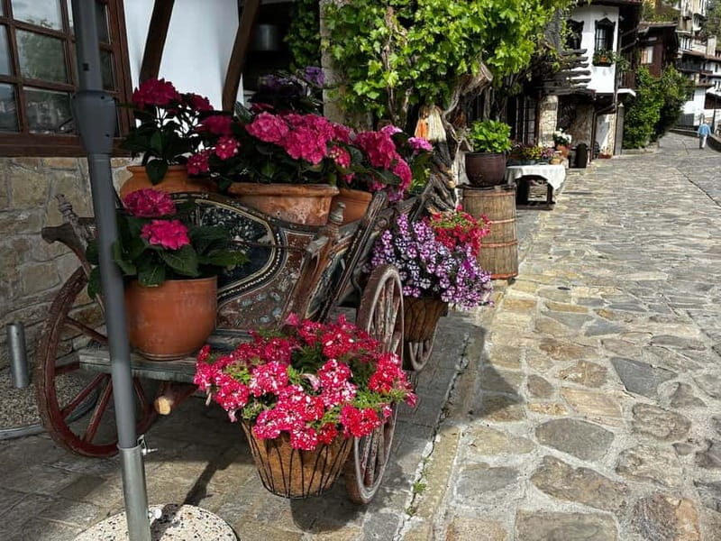 Veliko Turnovo-Bulgarian old capital and Arbanasi - What Makes This Tour Stand Out?