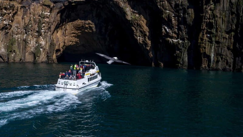 Vestmannaeyjar: Puffin, Island, and Volcano Boat Tour - Practical Details and Value