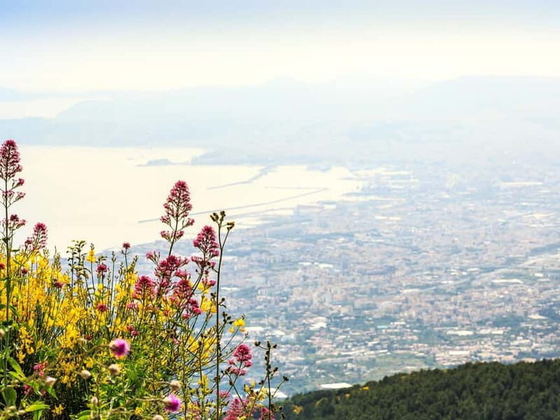 Vesuvius and Pompeii Day Trip with Lunch - The Practical Side: Transportation, Pricing, and Tips