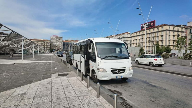 Vesuvius Volcano Experience: from Naples, Pompeii and Rome - Who Will Love This Tour?