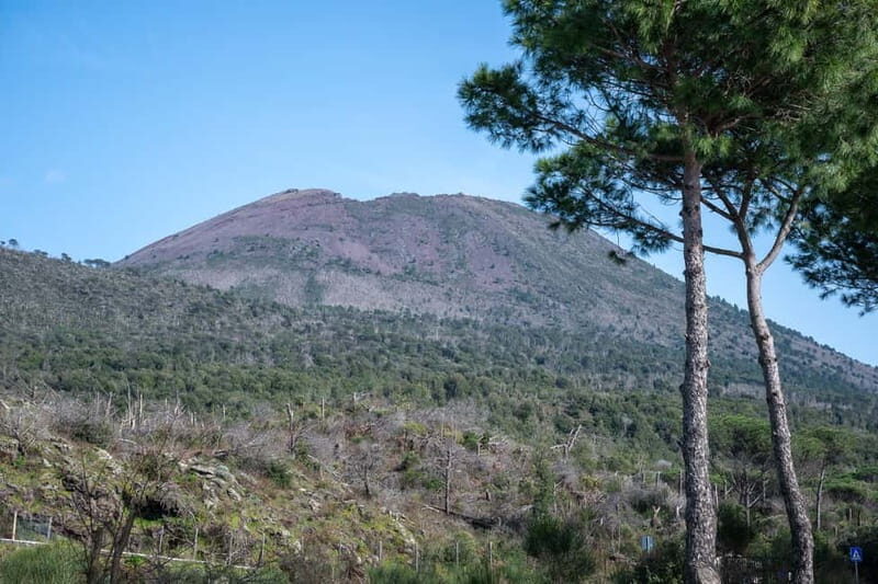 Vico Equense: Pompeii and Mount Vesuvius Guided Tour - Why This Tour Offers Great Value