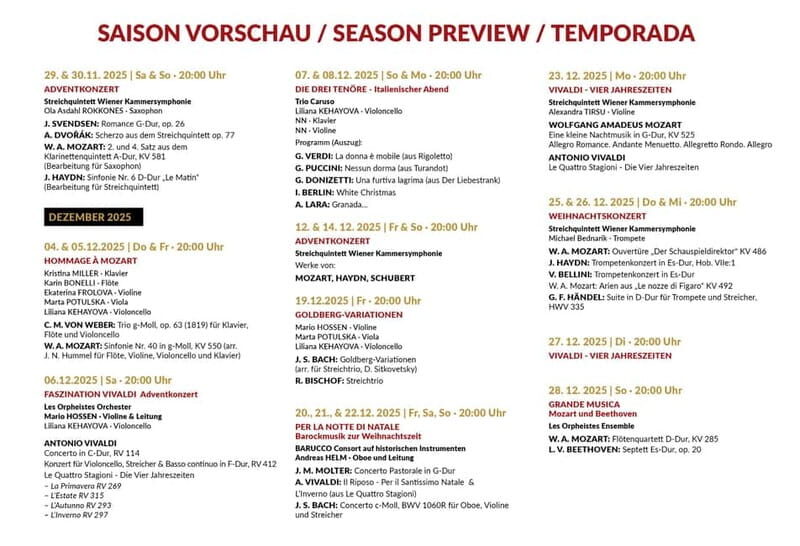 Vienna: Advent, Christmas and New Year's Concerts - What to Expect: The Concert Experience