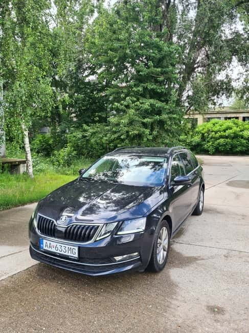 Vienna daytrip: Private transfer from Budapest and back - The 5-Hour Sightseeing Stop in Vienna