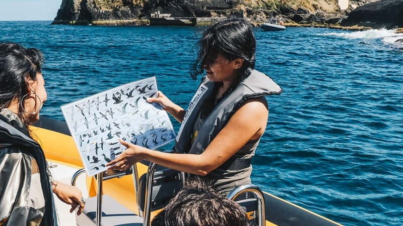 Vila Franca Islet: Biologist Guided Boat Around Eco Tour - Why This Tour Really Works