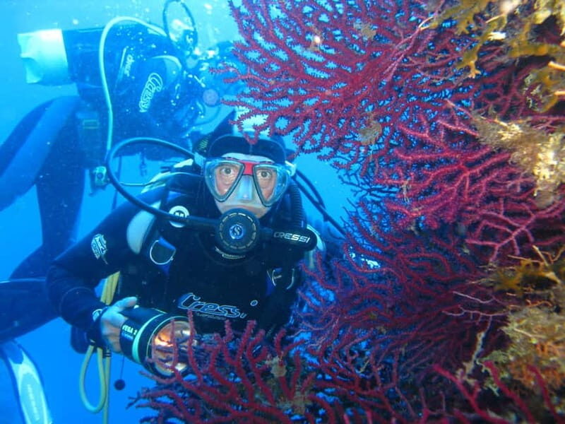 Villasimius: Capo Carbonara Marvellous Guided Dive - Final Thoughts