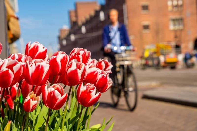 Vilnius: Capture the most Photogenic Spots with a Local - Why Choose This Tour?