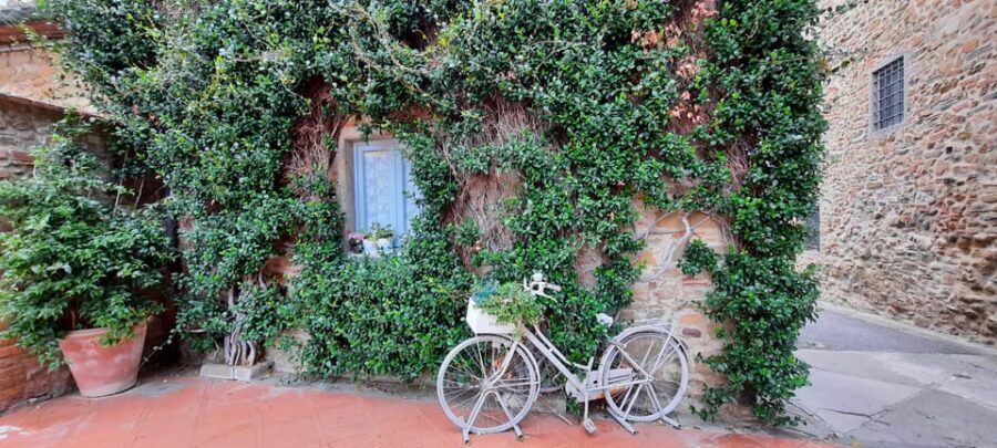 Vinci:Discovering Leonardo's Origins & Aperitif in Vineyards - A Detailed Breakdown of the Experience