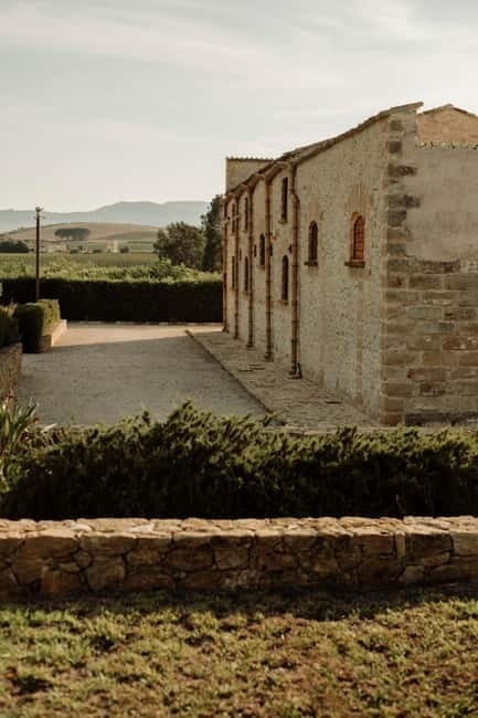 Vineyard Walk and Tasting - What the Reviews Say