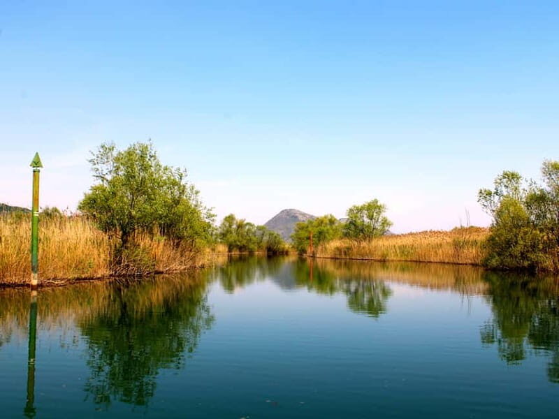 Virpazar: Guided Lake Skadar Cruise and Crnojevia River - The Experience: What Travelers Say
